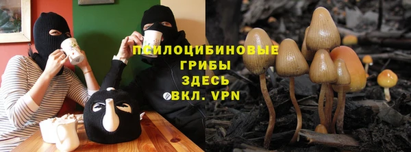 jwh Алзамай