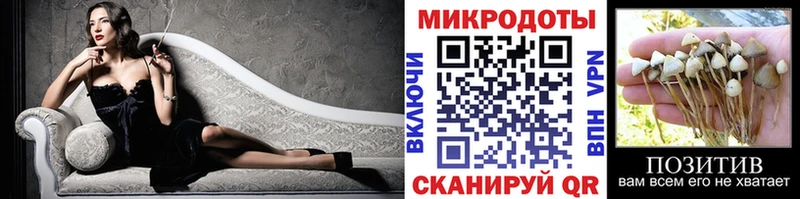 купить   Анапа  Псилоцибиновые грибы Psilocybe 